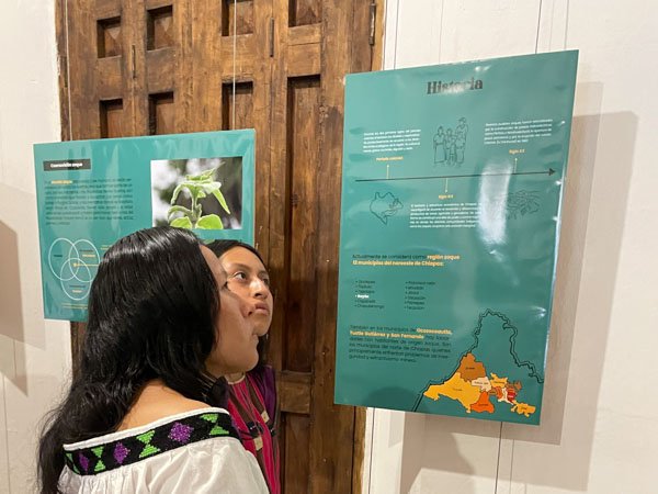 Exposición Mondosyi en La Enseñanza, San Cristóbal de las Casas, Chiapas - Imagen 3