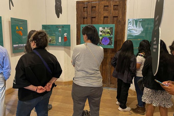 Exposición Mondosyi en La Enseñanza, San Cristóbal de las Casas, Chiapas - Imagen 4