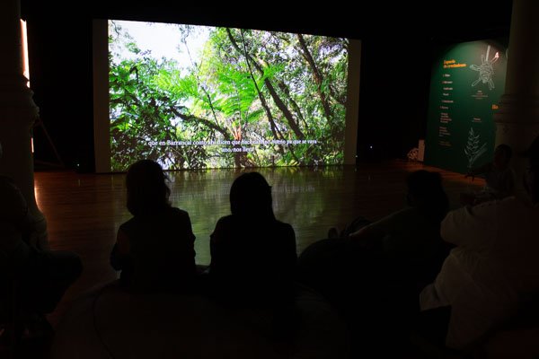 Exposición Mondosyi en el Museo de Geología - Imagen 2