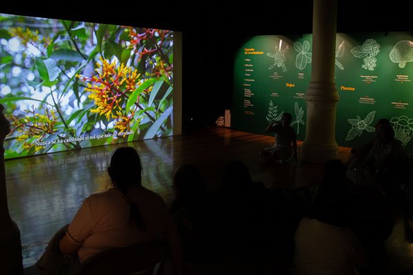 Exposición Mondosyi en el Museo de Geología - Imagen 3