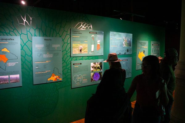 Exposición Mondosyi en el Museo de Geología - Imagen 4