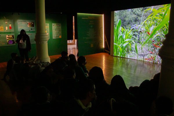 Exposición Mondosyi en el Museo de Geología - Imagen 7