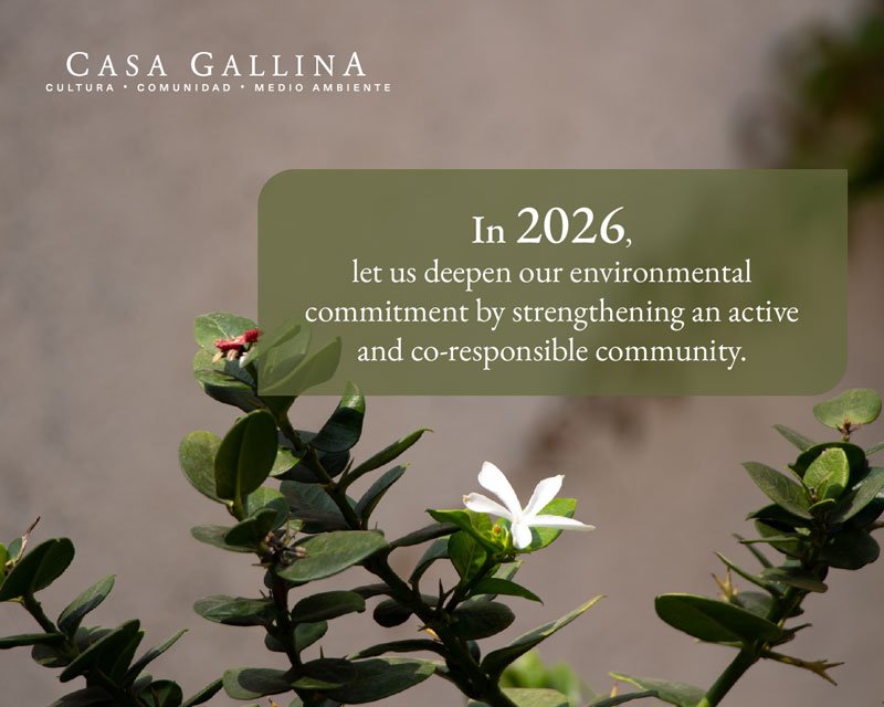 Aquí es una casa - Campaña de fondeo colectivo