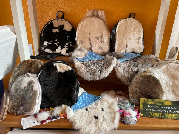 <p>Miscelánea en común: Rancho Agroecológico El Arco</p> - Imagen 4