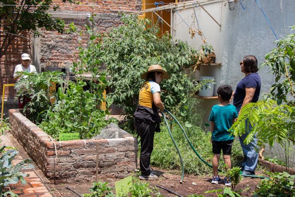 <p>Día de huerta</p> - Imagen 2